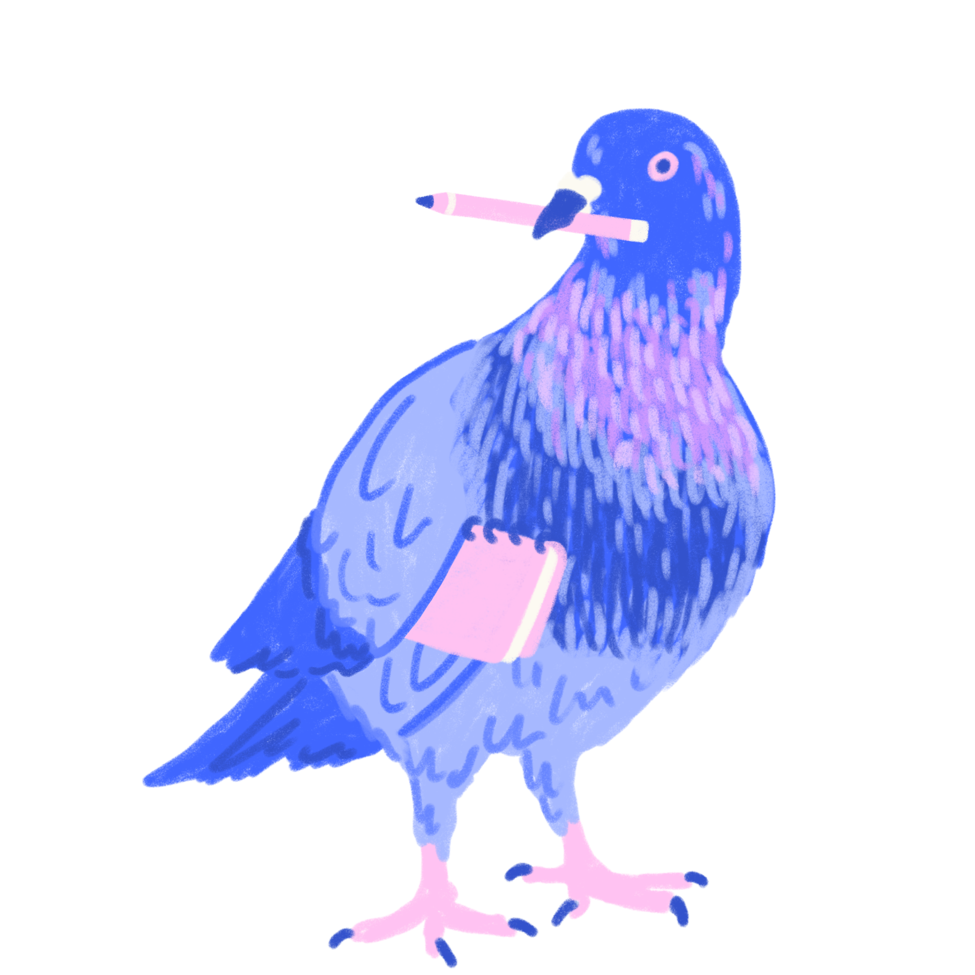 Pigeon Comms logo - hand drawn pigeon holding a pencil and notebook.